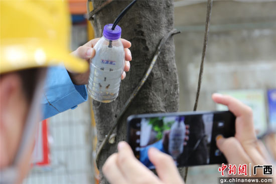 住戶為防止雨天插座漏電而套上的塑料瓶中積水明顯，存在漏電隱患。謝耘 攝